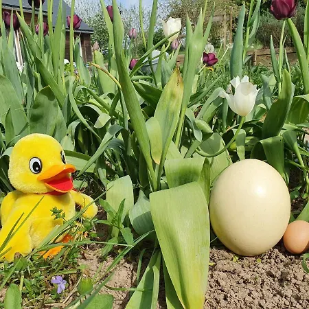 Les Douces De Béa *
